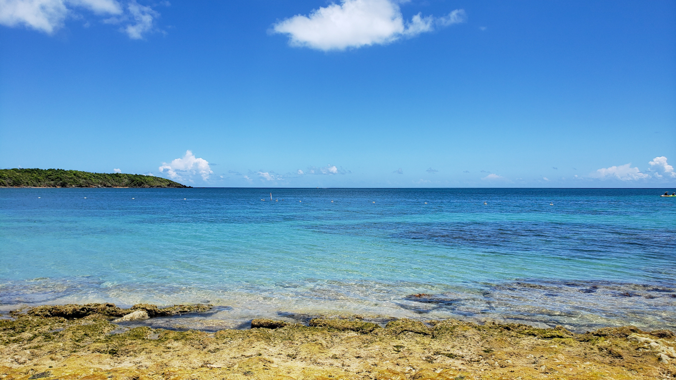 Top 5 Beaches in Puerto Rico with the Clearest Waters | AQWA – AQWA